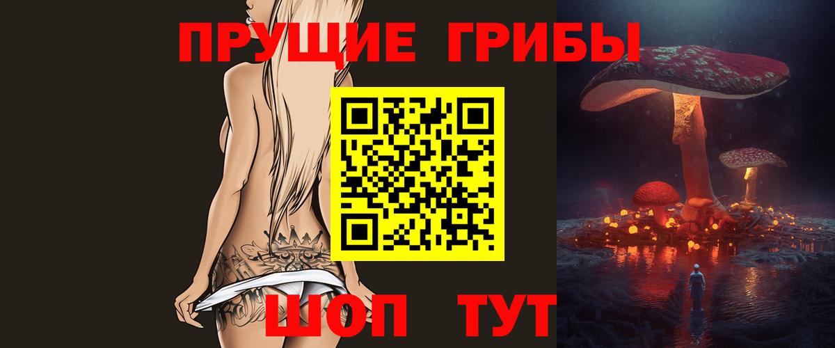 Ахтубинск  Галлюциногенные грибы GOLDEN TEACHER  Вход с VPN  Псилоцибиновые грибы Cubensis 
